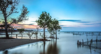 Pantai Eksotis dan Alam Liar Kalimantan Utara: Tempat Liburan yang Tak Terlupakan!