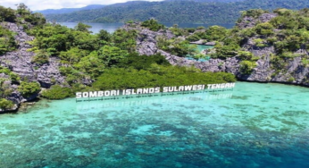 Keindahan Pesisir Sulawesi Tengah: Menikmati Pantai, Pulau, dan Budaya Laut